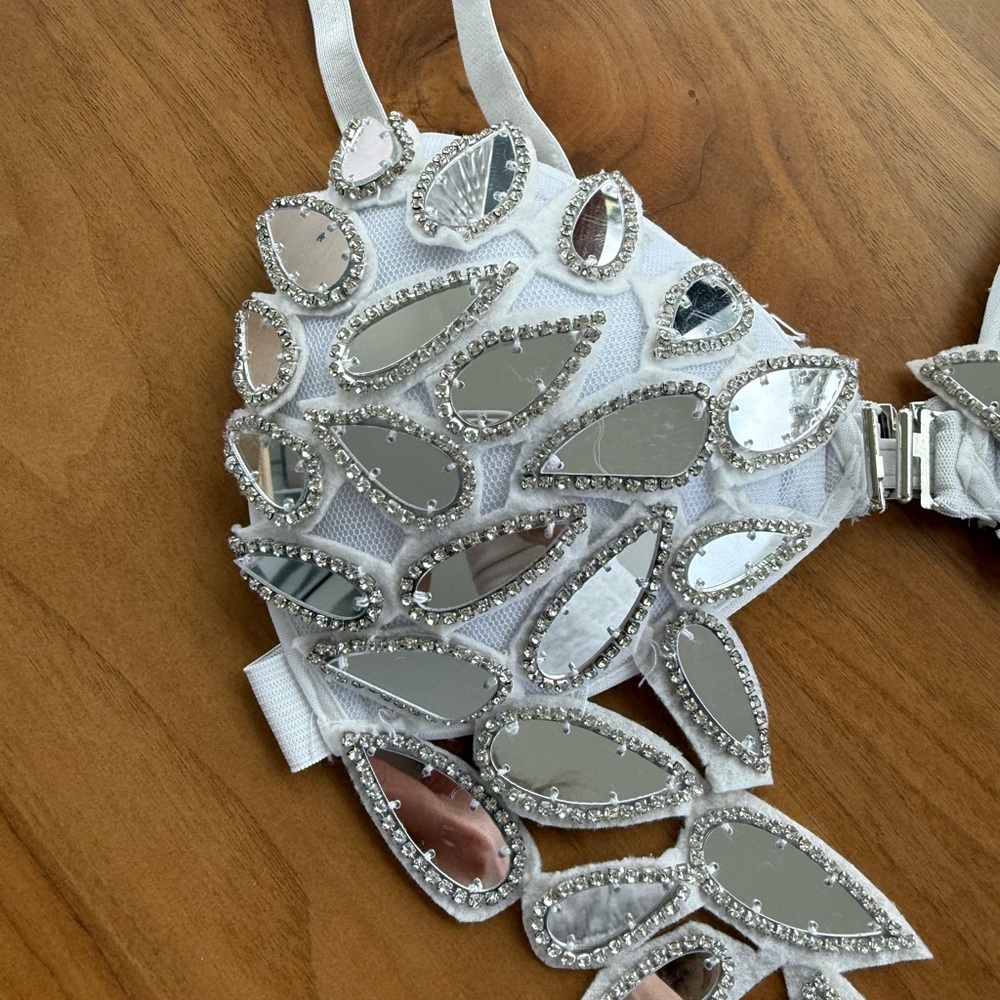 Embellished Silver Leaf Appliqué Bra Top - Picture 5 of 6